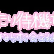ヒメ日記 2026/10/10 12:27 投稿 新人みゆき横手 厳選人妻専門店 元祖ミセス 横手店