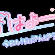 ヒメ日記 2026/10/17 08:17 投稿 新人みゆき横手 厳選人妻専門店 元祖ミセス 横手店