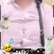 ヒメ日記 2026/08/24 15:54 投稿 うた Beauty Street