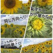 ヒメ日記 2026/08/11 08:37 投稿 南 セクシーキャット 神田店