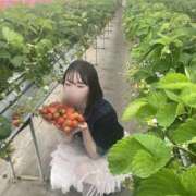 ヒメ日記 2026/08/12 07:51 投稿 太鳳/たお Muteki Platinum
