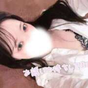 ヒメ日記 2026/08/14 15:30 投稿 ウミ PALCO