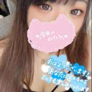 ヒメ日記 2026/08/19 10:50 投稿 唯香【ゆいか】 丸妻 西船橋店