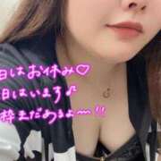 ヒメ日記 2026/08/24 11:50 投稿 唯香【ゆいか】 丸妻 西船橋店