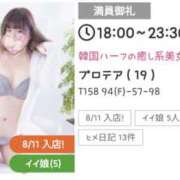 ヒメ日記 2026/10/02 11:21 投稿 プロテア 飾窓