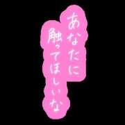 ヒメ日記 2026/09/11 22:52 投稿 みやこ 宇都宮ムンムン熟女妻