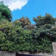 めい 好きな季節🍁🍂 妻天 尼崎店