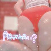 ヒメ日記 2026/08/15 08:22 投稿 しゅり 夕月
