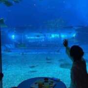 ヒメ日記 2026/08/14 22:28 投稿 りぼん 沼津ハンパじゃない東京