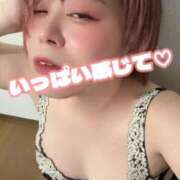 ヒメ日記 2026/08/20 12:38 投稿 せんり 奥様なでしこ