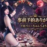 ヒメ日記 2026/08/28 10:01 投稿 らな ドMなバニーちゃん徳島店