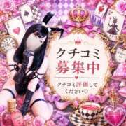 ヒメ日記 2026/09/03 11:00 投稿 らな ドMなバニーちゃん徳島店