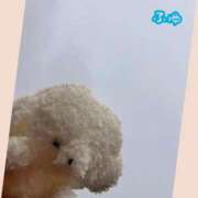 ヒメ日記 2026/08/13 07:15 投稿 ふゆ トマトなび