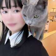 ヒメ日記 2026/08/17 08:15 投稿 ももえ MUSE spa