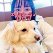 ヒメ日記 2026/08/27 13:15 投稿 ももえ MUSE spa