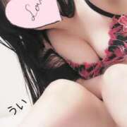 ヒメ日記 2026/08/25 01:21 投稿 羽衣-うい 熟女10000円デリヘル横浜