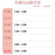 ヒメ日記 2026/09/14 10:30 投稿 夏目 あや アソビザ女子社員 イメクラ部