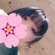 ヒメ日記 2026/10/16 19:00 投稿 ありさ【性感】 性感エステBianca豊中店