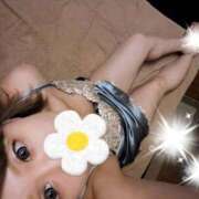 ヒメ日記 2026/08/25 00:35 投稿 あや feel＆airi