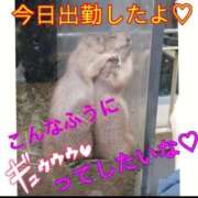 ヒメ日記 2026/08/21 11:46 投稿 春日うみ ミセスレディ