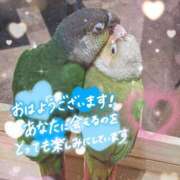 ヒメ日記 2026/09/13 07:01 投稿 春日うみ ミセスレディ