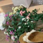 ヒメ日記 2026/08/14 08:17 投稿 まな 完熟ばなな錦糸町店