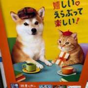 ヒメ日記 2026/09/12 22:37 投稿 まな 完熟ばなな錦糸町店