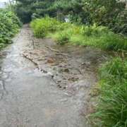 ヒメ日記 2026/09/16 08:57 投稿 まな 完熟ばなな錦糸町店