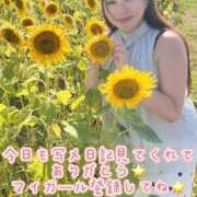 ヒメ日記 2026/08/24 22:53 投稿 みその One More 奥様　錦糸町店