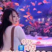 ヒメ日記 2026/09/14 20:01 投稿 みその One More 奥様　錦糸町店