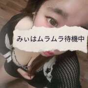 みい すぐに捕まえれるよ??? ちゃんこ東大阪 布施・長田店
