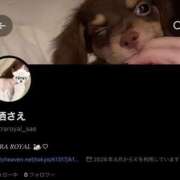 来栖さえ 作った！🦢♡ ウルトラロイヤル