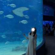 唯【ゆい】 水族館○° クラブ　ブレンダ難波店