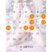 たお 9月出勤予定です🕊️ 尼妻（あまづま）