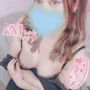 ヒメ日記 2026/08/26 12:39 投稿 ねいろ★UL対応 Blue Moon