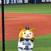 ヒメ日記 2026/10/05 08:16 投稿 戸田しずく 華椿