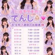 ヒメ日記 2026/08/26 12:46 投稿 テンシ 川崎美女革命