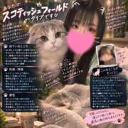 ヒメ日記 2026/09/17 18:50 投稿 しゅうか タレント倶楽部