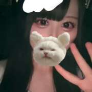 ぽめ【ギャップ×ロリエロ】 ぱわわっぷ！🐾 STELLA TOKYO－ステラトウキョウ－