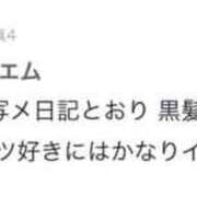 ヒメ日記 2026/09/19 17:13 投稿 かなめ アラカルト