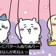 ヒメ日記 2026/09/24 04:42 投稿 かのん メンヘラ専門デリヘル ゼロワン 横浜本店