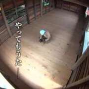 ヒメ日記 2026/09/27 22:22 投稿 かのん メンヘラ専門デリヘル ゼロワン 横浜本店