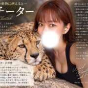 ヒメ日記 2026/09/14 14:08 投稿 小川なおみ 月の真珠-新宿-