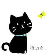 ヒメ日記 2026/08/26 10:44 投稿 ちか 品川ミセスアロマ（ユメオト）