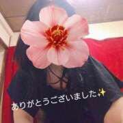 ヒメ日記 2026/08/15 21:01 投稿 結花-ゆか 熟女10000円デリヘル横浜