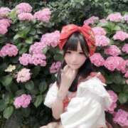 しらす ㊙️㊙️㊙️ 素人美少女専門　新横浜アンジェリーク（アンジェリークグループ）
