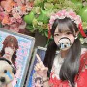ヒメ日記 2026/09/04 18:50 投稿 しらす 素人美少女専門　新横浜アンジェリーク（アンジェリークグループ）
