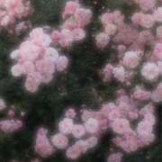 ヒメ日記 2026/08/20 20:02 投稿 雫(しずく) グランドオペラ福岡