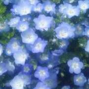 ヒメ日記 2026/08/22 09:51 投稿 雫(しずく) グランドオペラ福岡