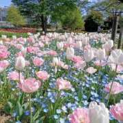 雫(しずく) おはようございます☀️ グランドオペラ福岡